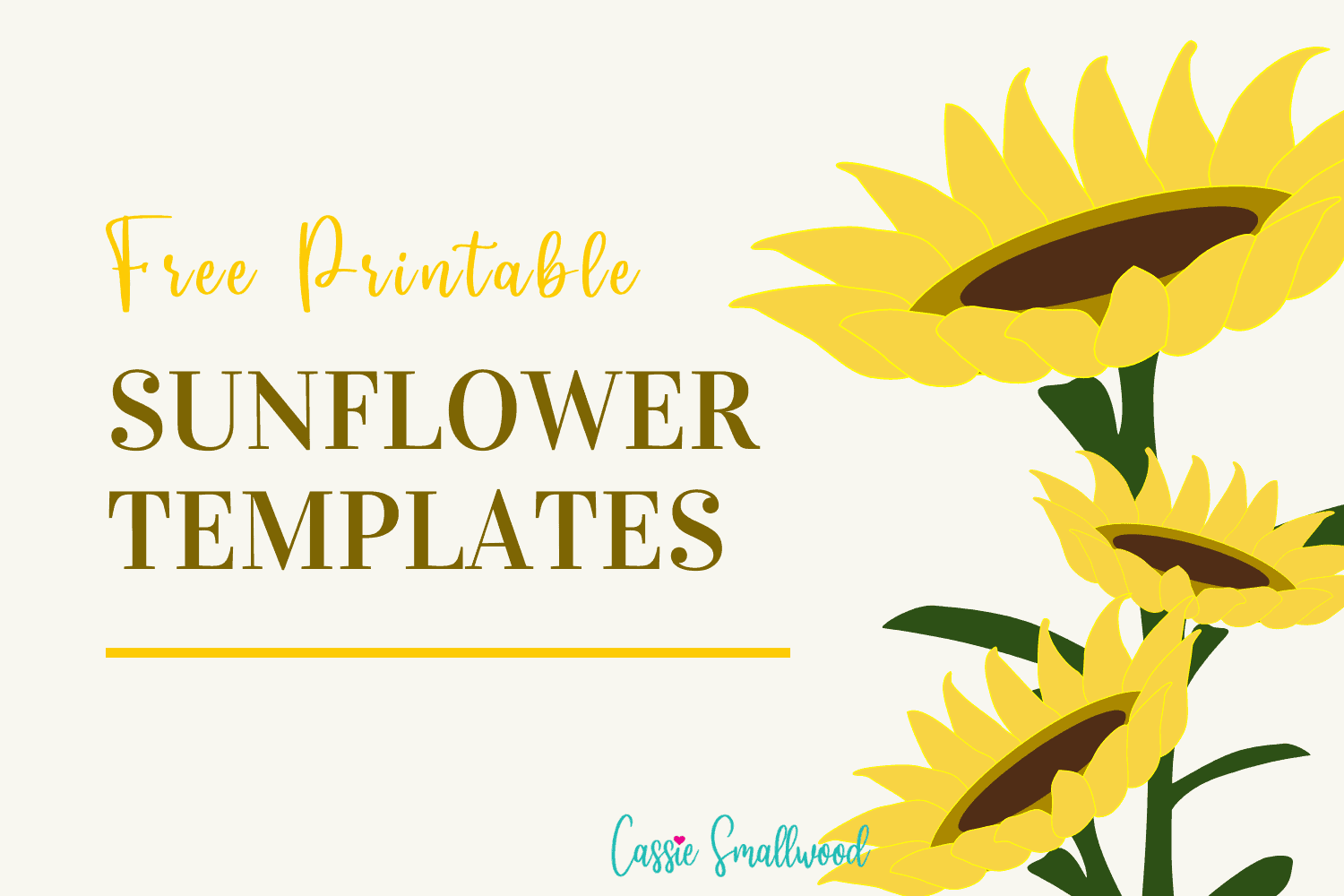 Printable Sunflower Petal Template
