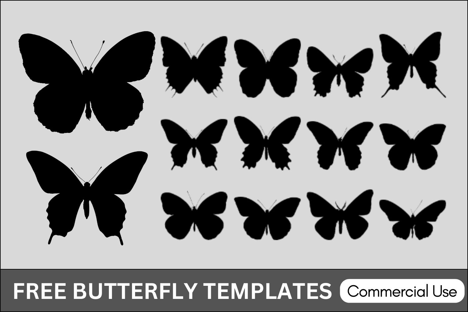 Butterfly Templates FREE Printables Stencils Silhouette