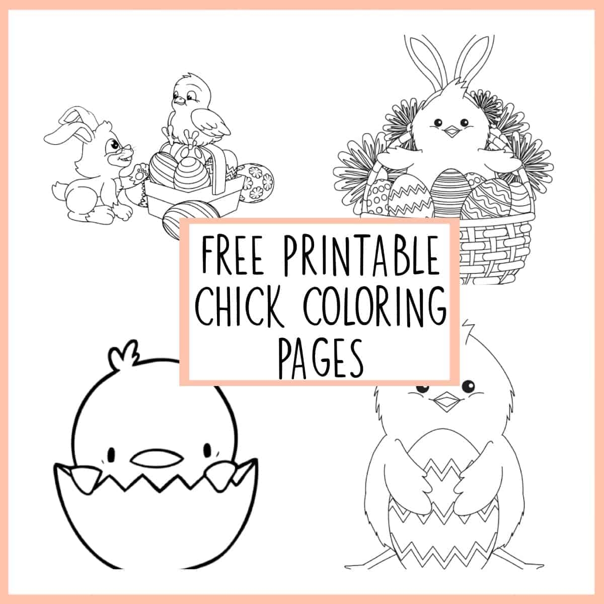 Chick Coloring Pages Free Printable For Kids Love Our Real Life