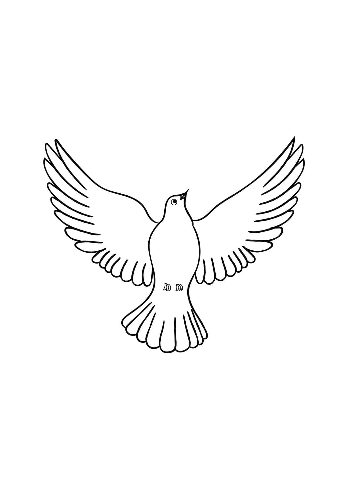 Dove Template Printable 4 Free Designs The Pink Craft Box