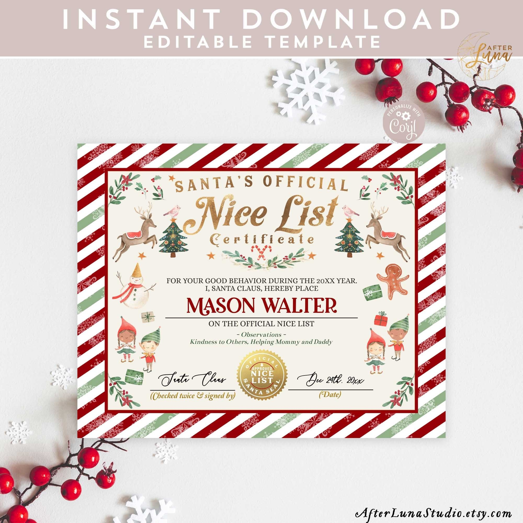 EDITABLE Nice List Certificate Printable Santa s Official Document Girl Boy Elf Nice List Certificate Template Instant Download 215 Etsy UK
