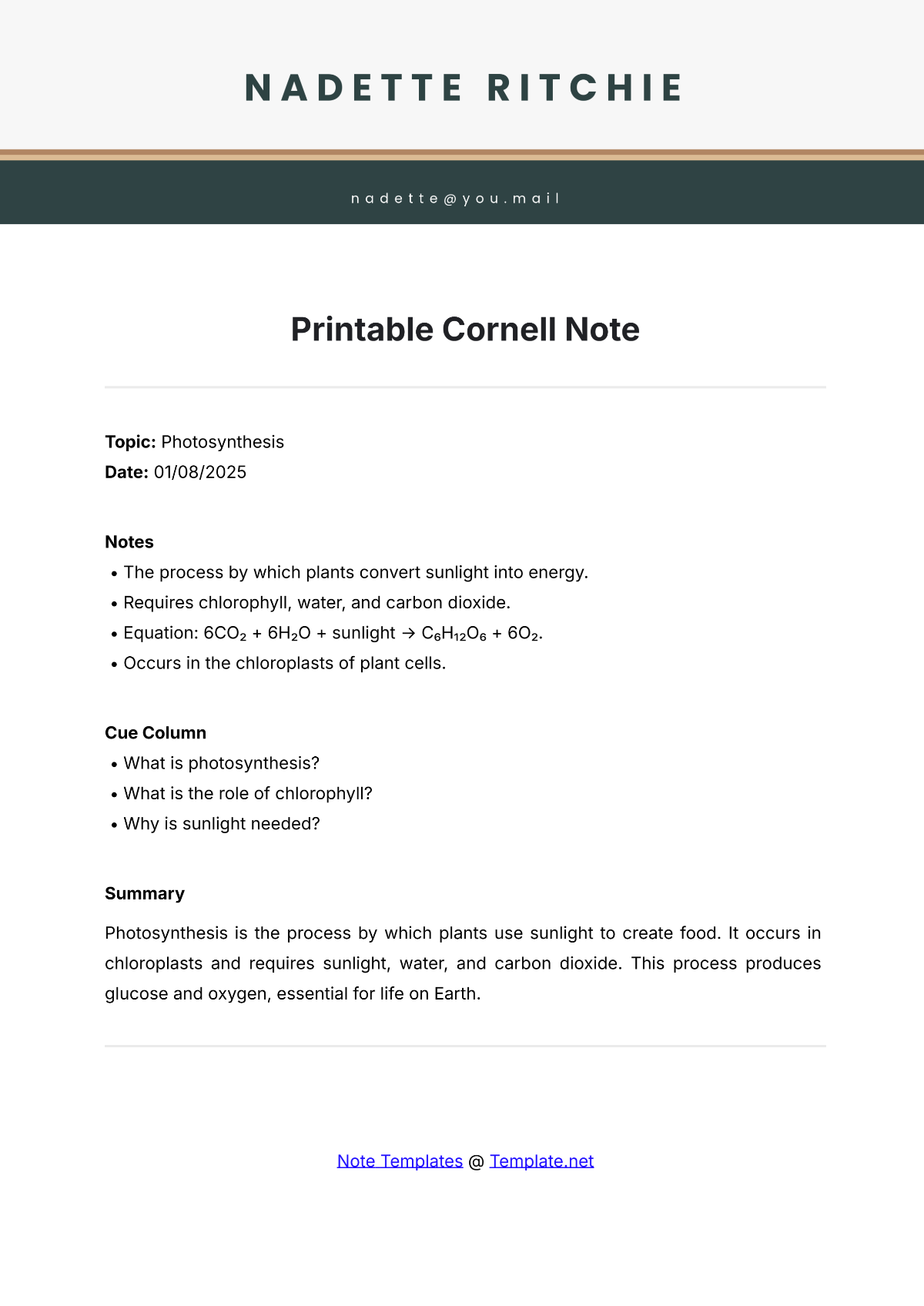Avid Cornell Notes Template Printable