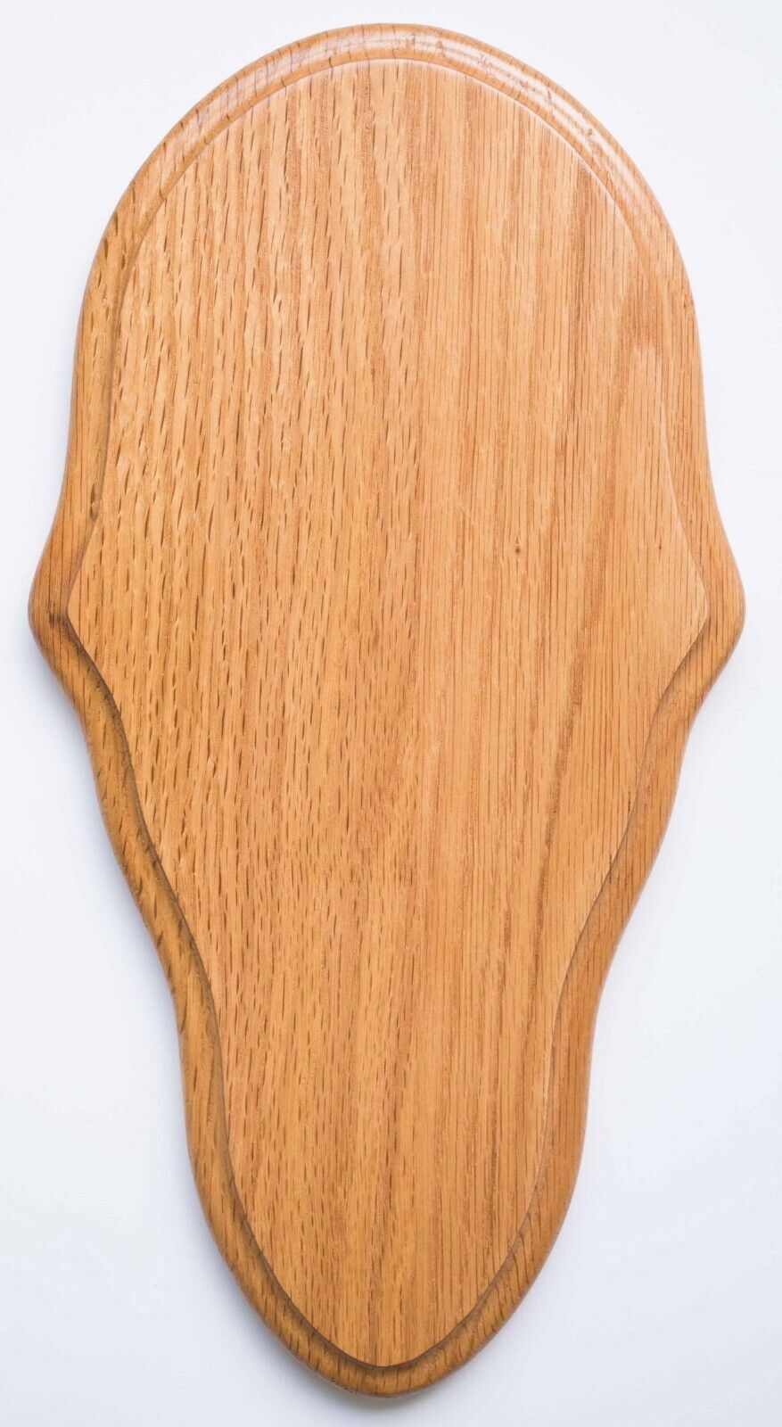 Medium Oak Deer European Skull Mount Plaque Cape Town Drug Counselling Center