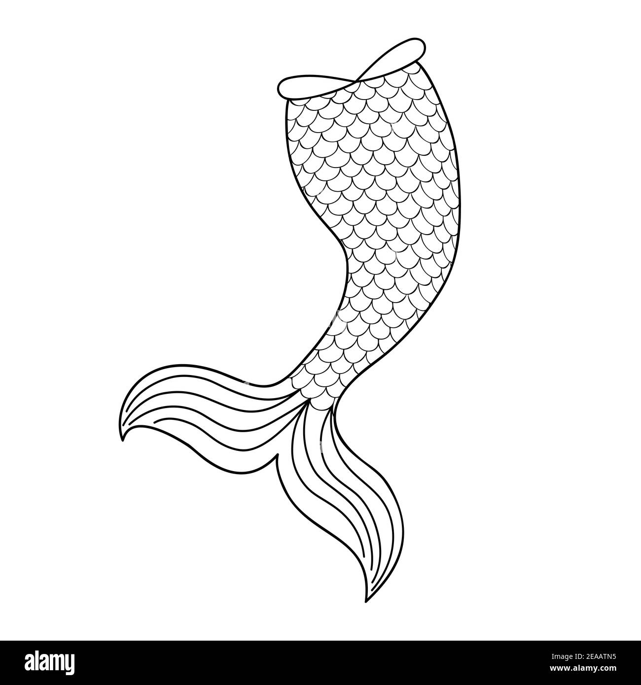 Mermaid Tail Black And White Stock Photos Images Alamy