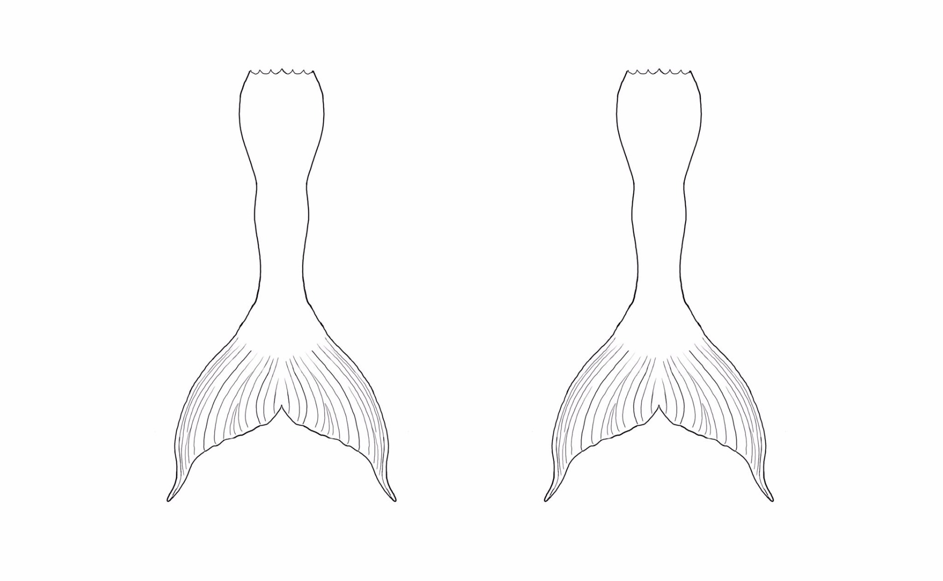 Mermaid Tail Template Printable