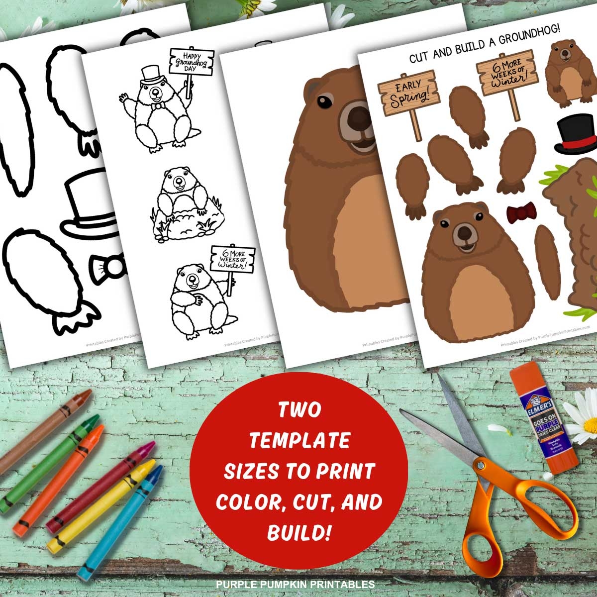 Printable Build A Groundhog Template Fun Groundhog Day Craft 