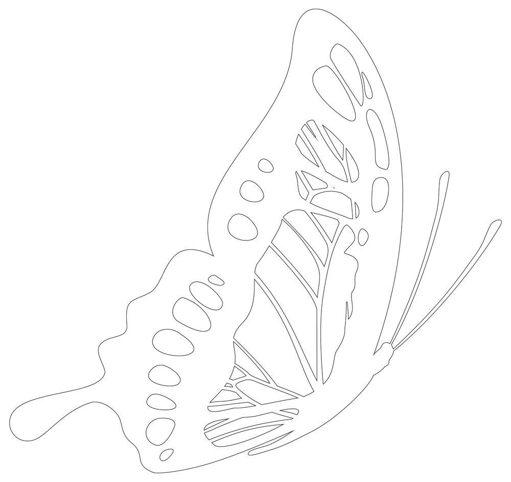 Printable Butterfly Template Outline Butterfly Stencil