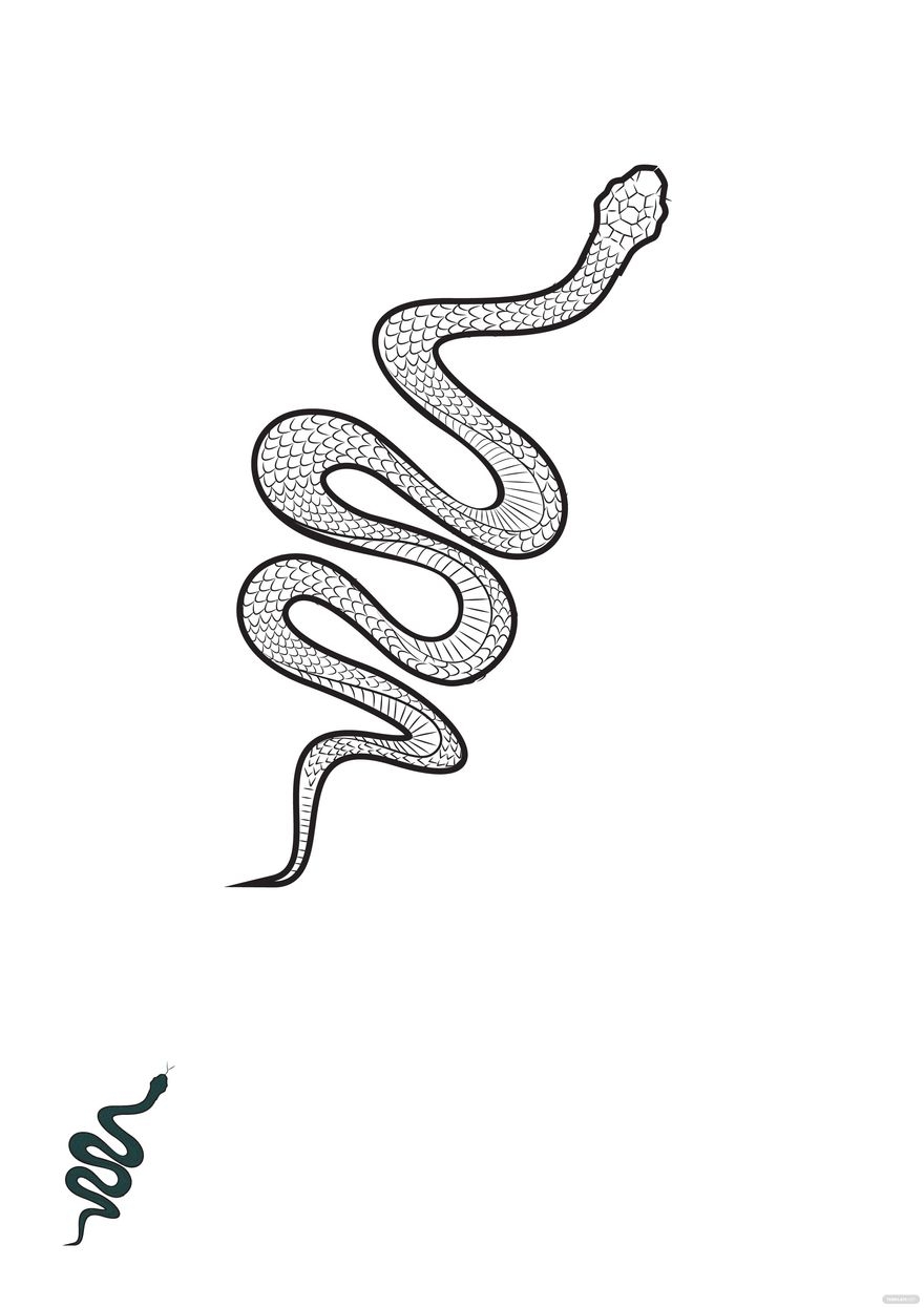Reptile Snake Coloring Page Template In PDF EPS JPG Download Template 