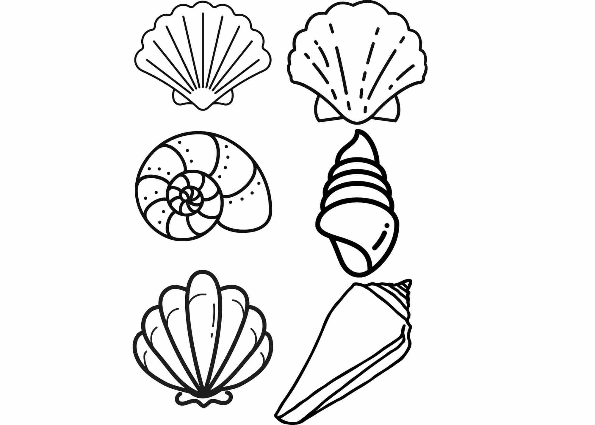 Sea Shell Ocean Beach Theme Modern Instant Digital Printable Download Template Clipart Cricut PDF SVG JPG Etsy UK