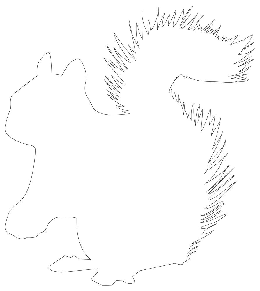 Squirrel Outline Black White Squirrel Line Art