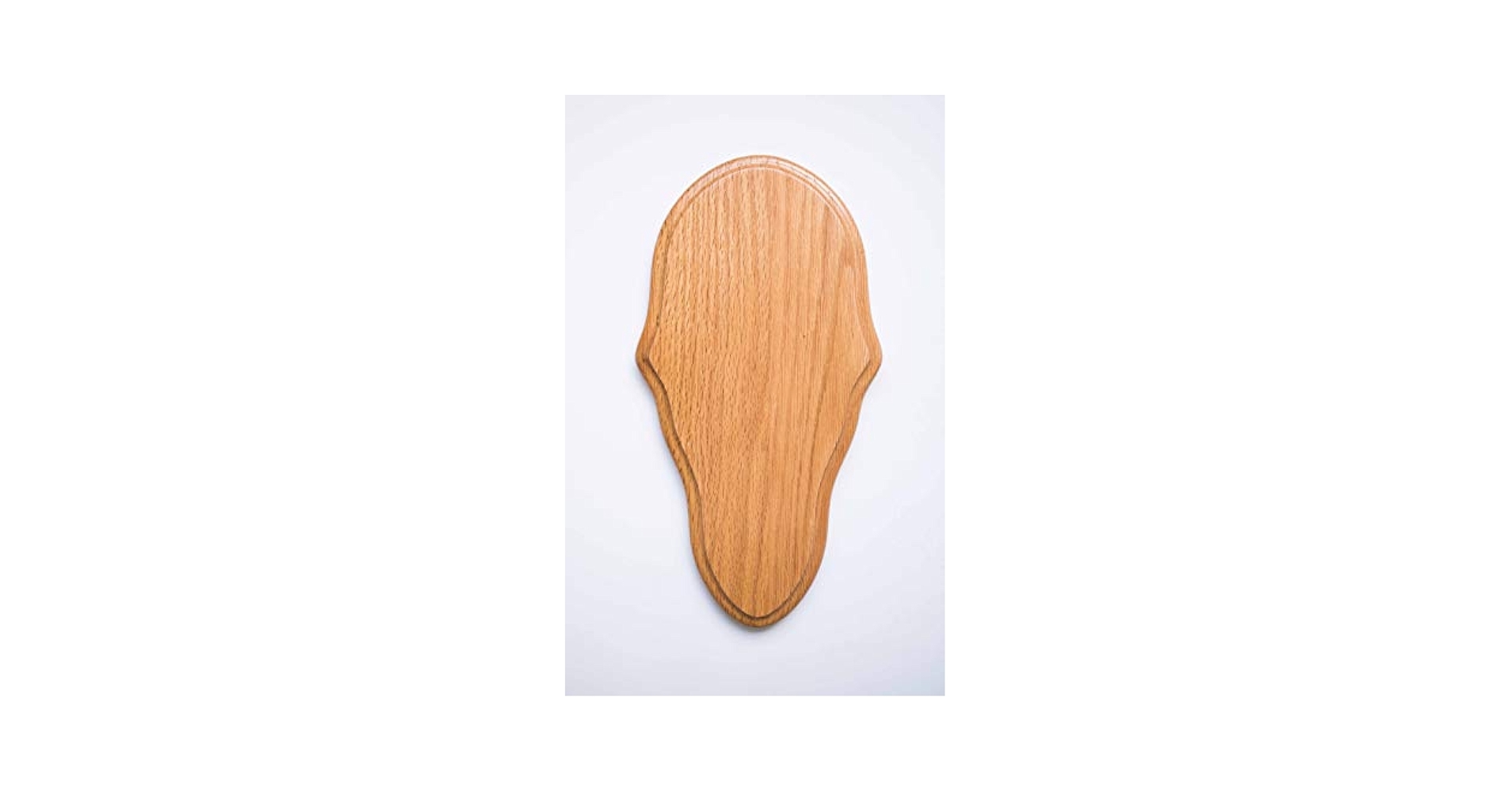 Taxidermists Woodshop Medium Oak Classic Deer European Skull Mount Face Plate Plaque Trophy Mounts Amazon Canada