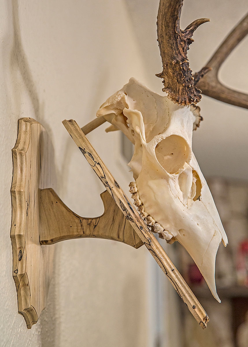 Template For DIY Deer Skull Mount Plaque Gunflintdesigns