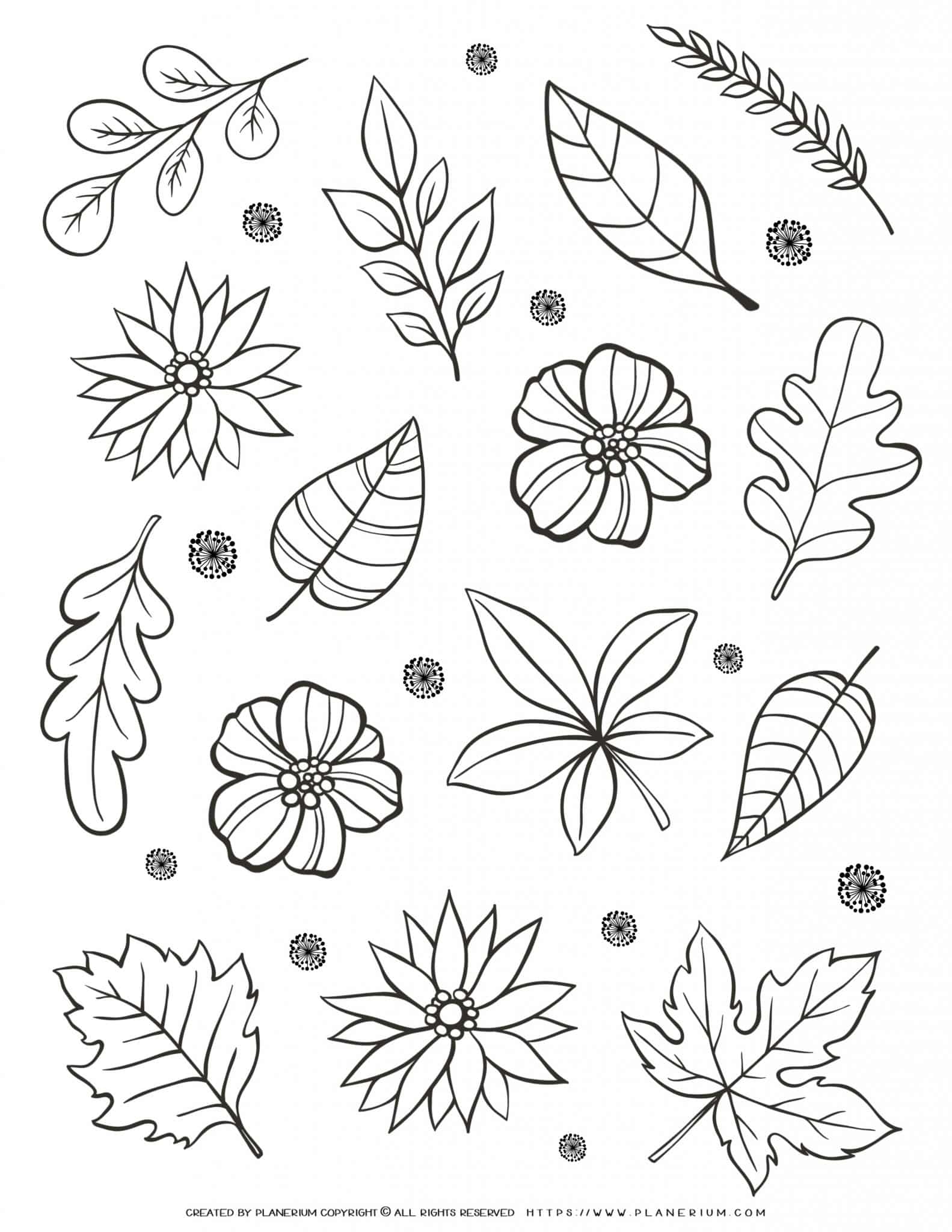 Adult Coloring Page Flowers And Leaves Planerium