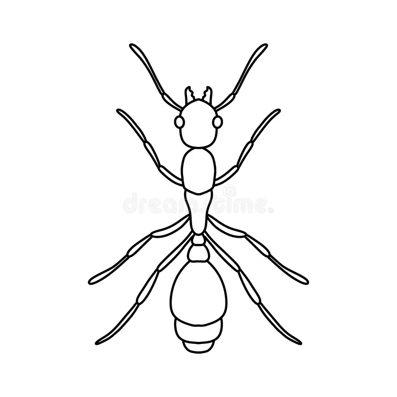 Ant Template Printable