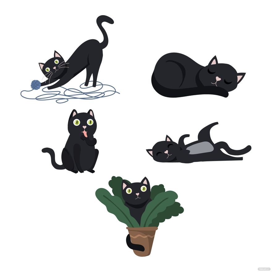Black Cat Vector In Illustrator JPG EPS SVG PNG Download Template 