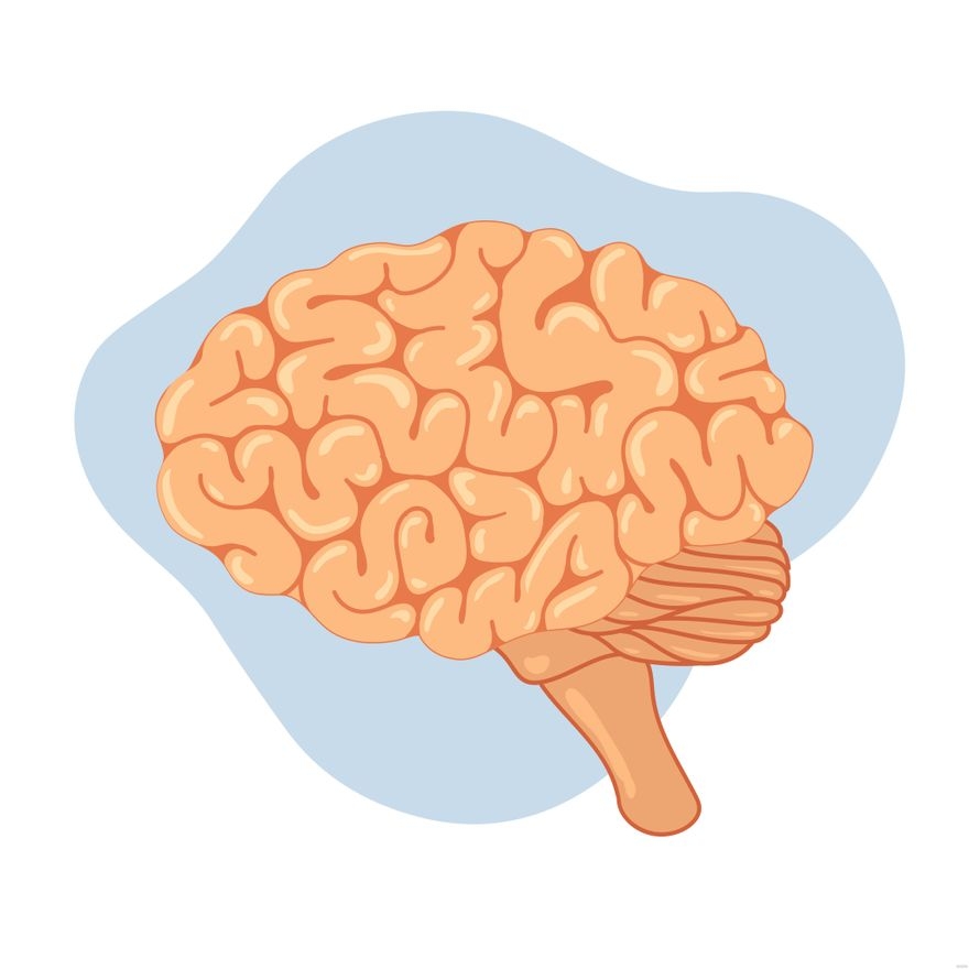 Brain Template Printable
