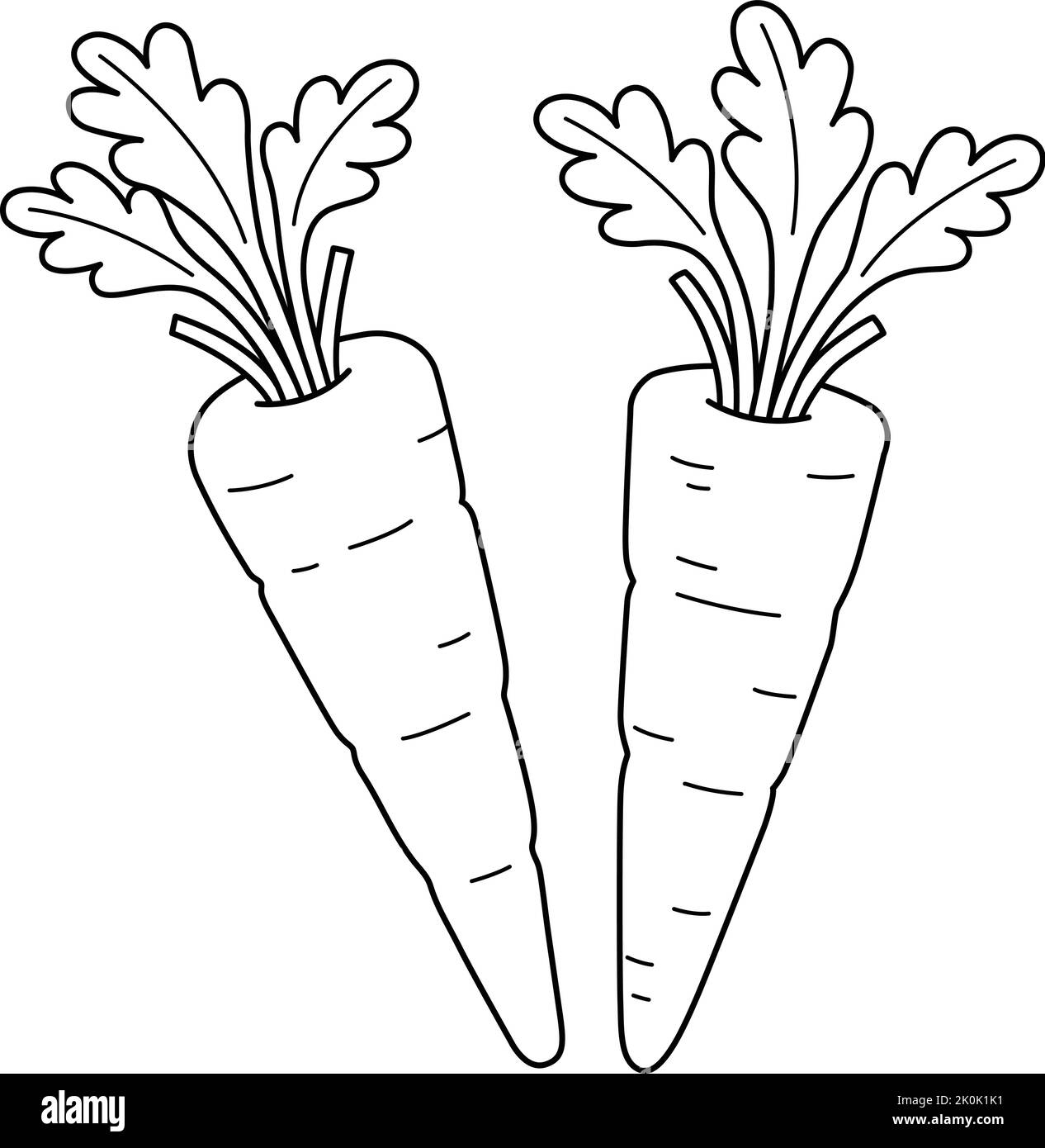 Carrot Coloring Book Cut Out Stock Images Pictures Alamy