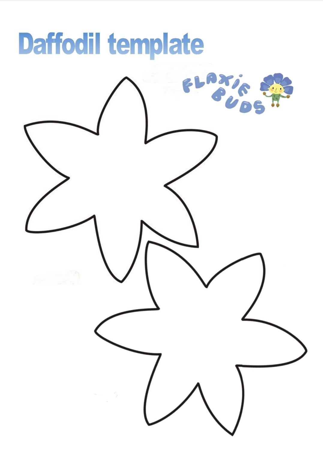 Daffodil Template Irish Linen Centre Lisburn Museum