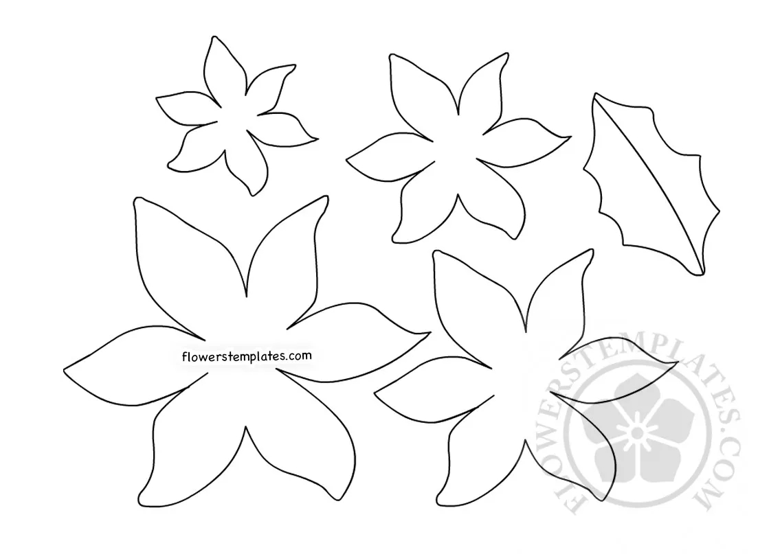 DIY Paper Poinsettia Template Printable Flowers Templates
