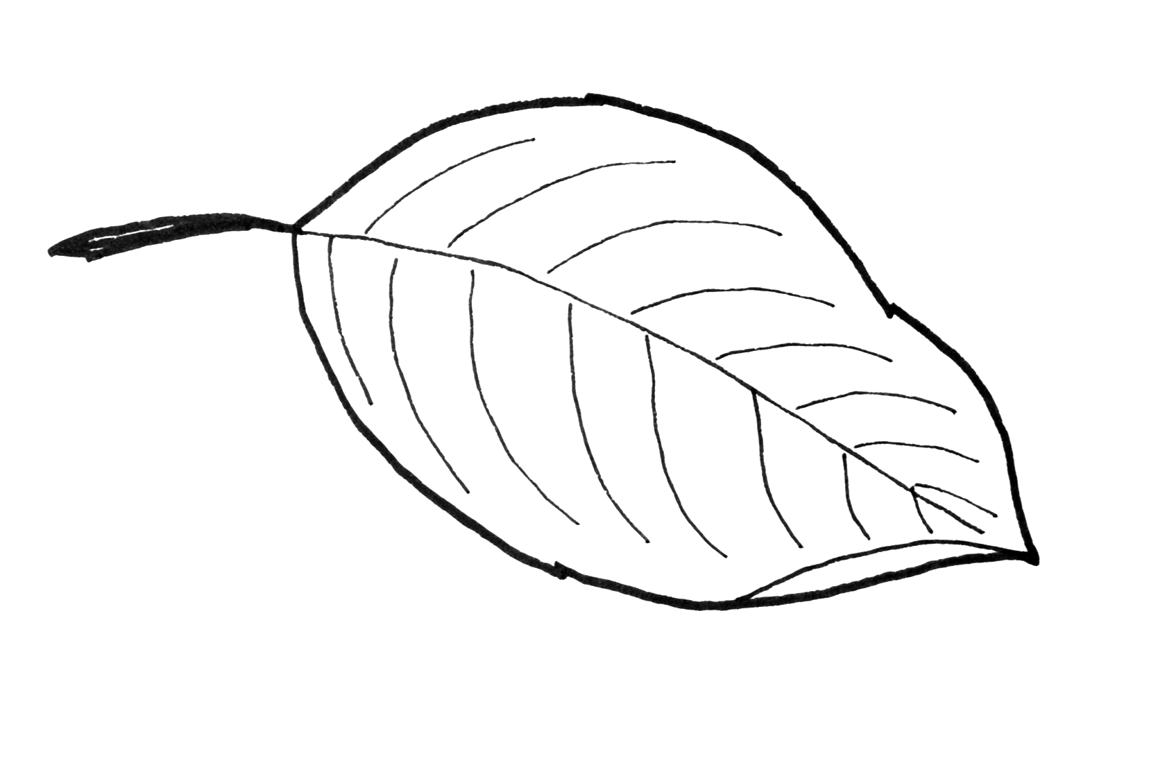 Fall Leaf Pattern Printables Just Paint It Blog