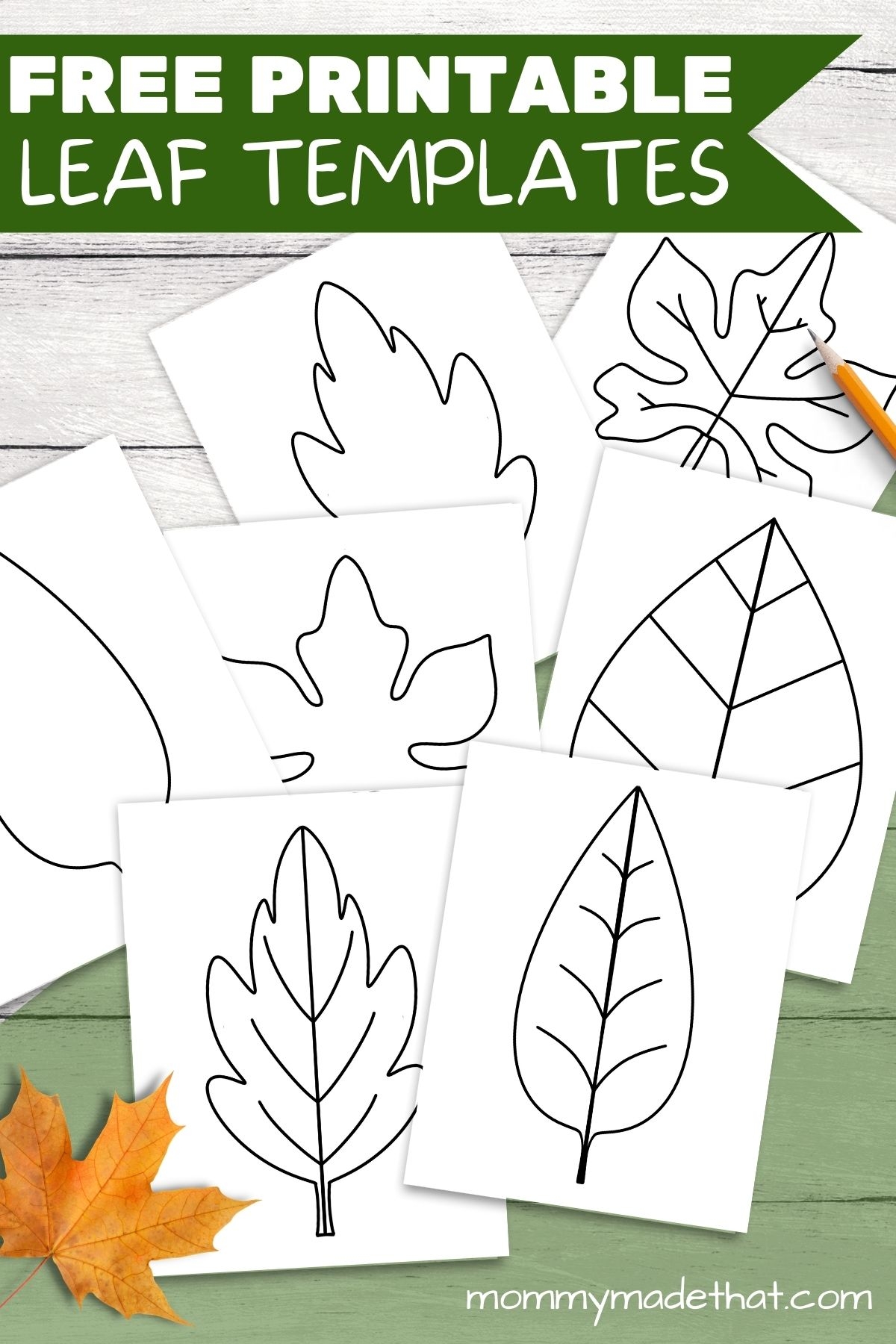 Large Printable Leaf Template