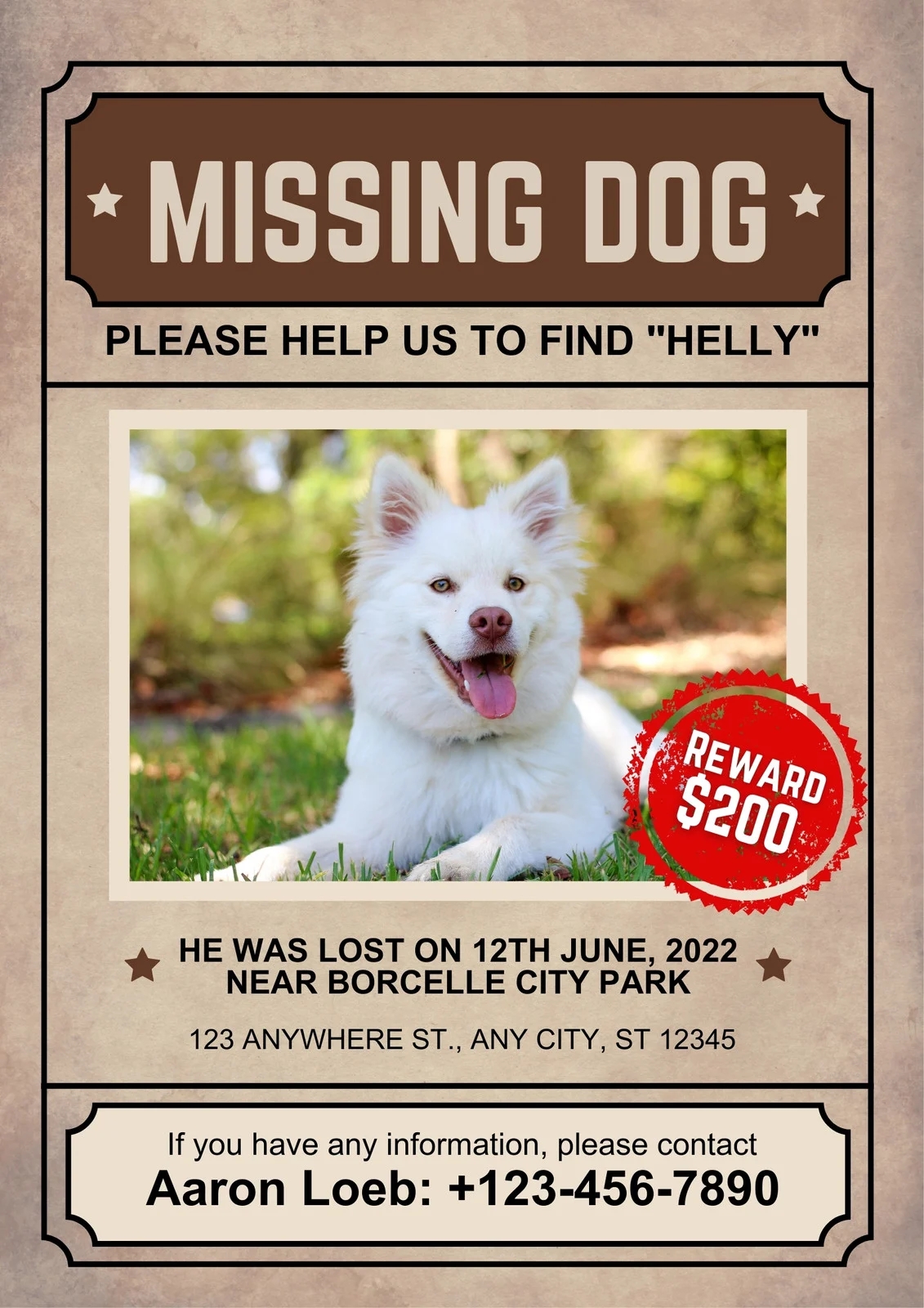 Free Printable Customizable Lost Dog Poster Templates Canva
