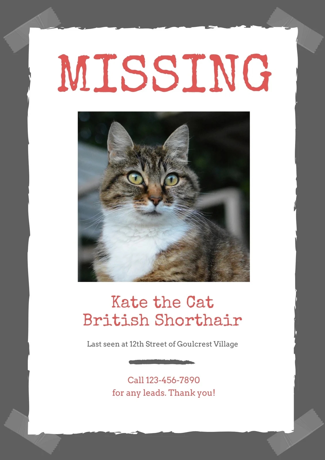 Free Printable Editable Lost Cat Poster Templates Canva