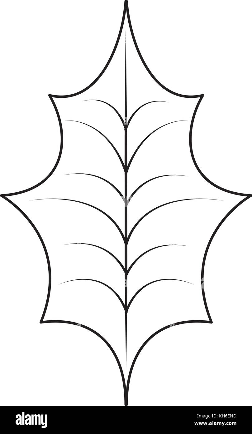 Green Holly Leaf Black And White Stock Photos Images Alamy