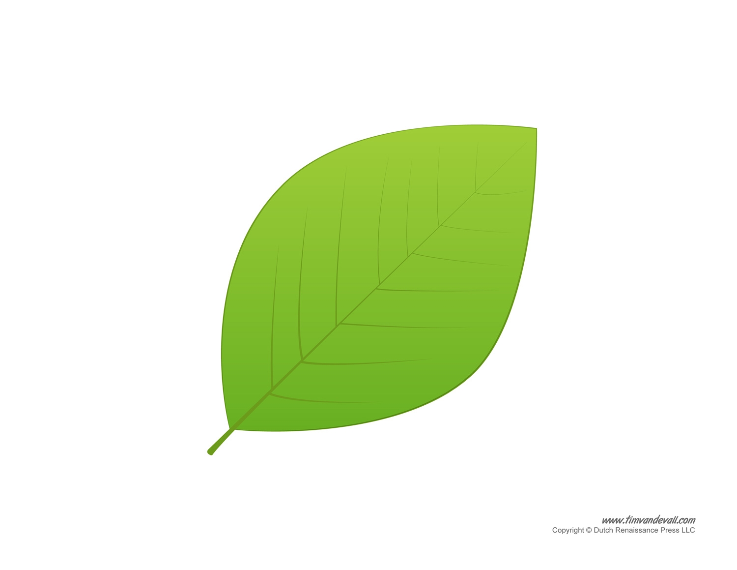 Printable Leaf Template Free