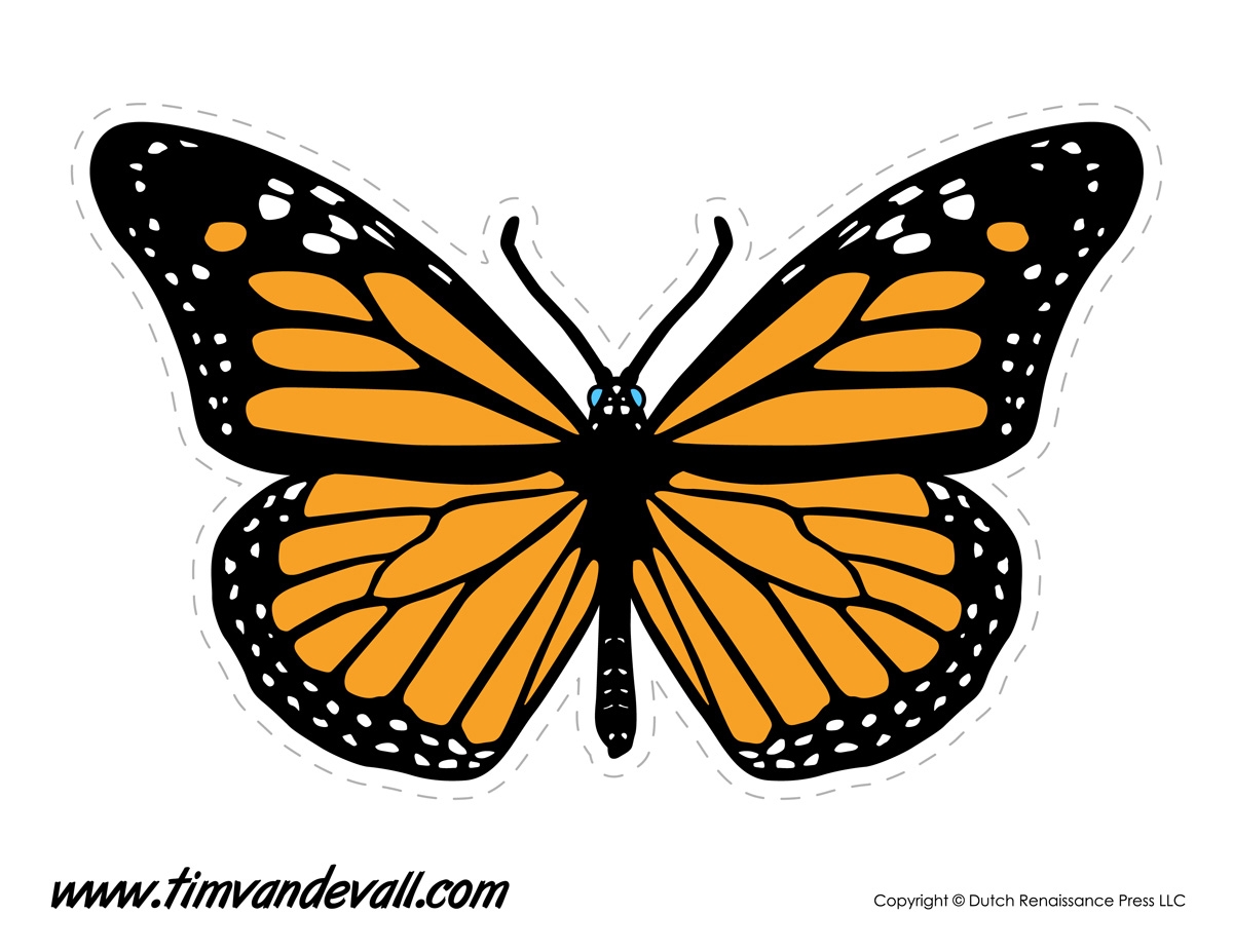Monarch Butterfly Tim s Printables