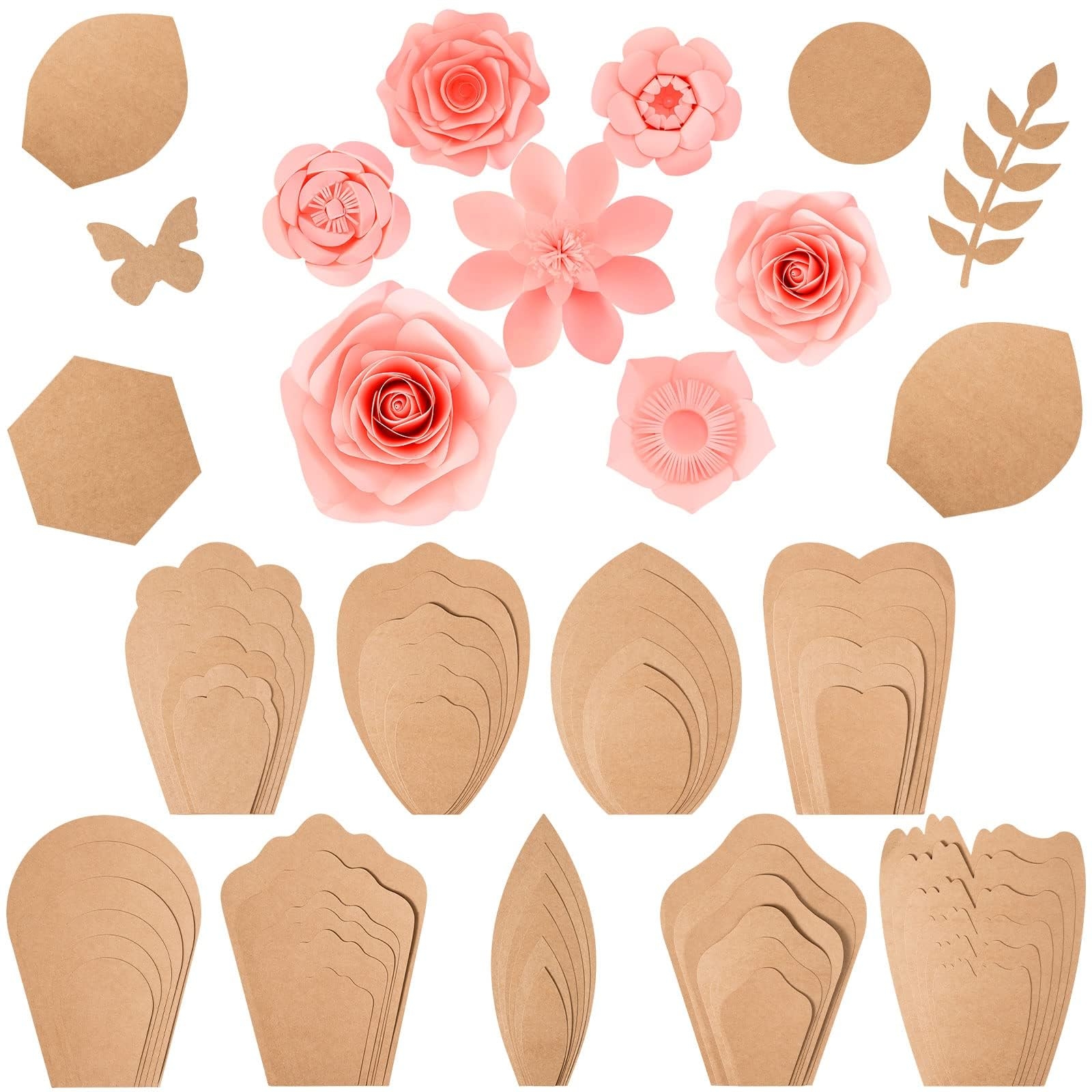 Petal Pattern 2024