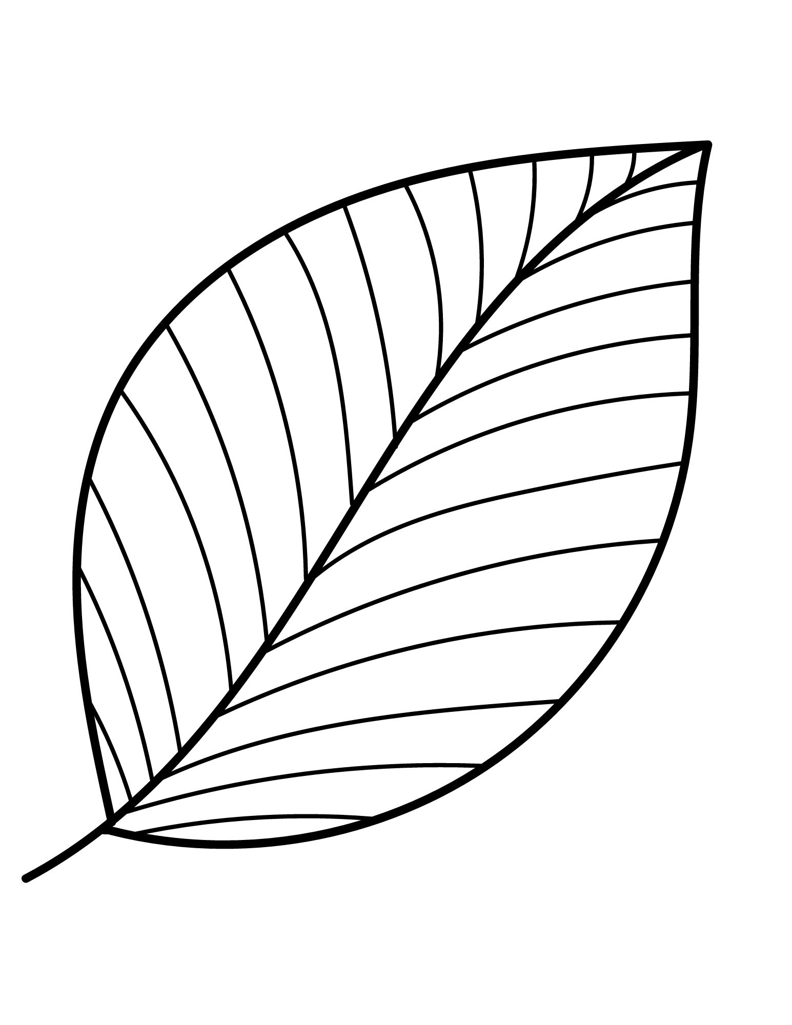 Printable Leaf Outline Templates Crafty Morning Worksheets Library