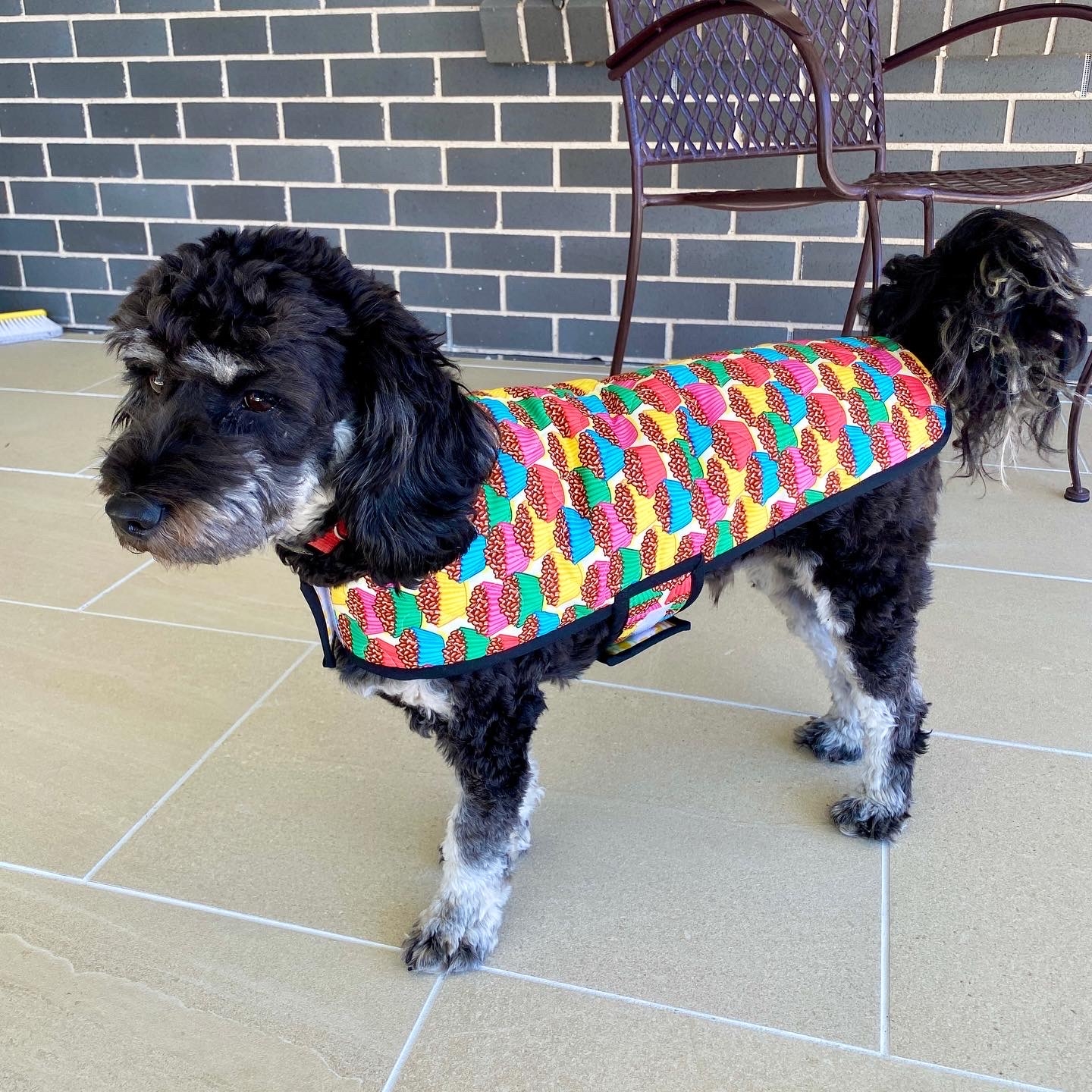 Beginner Template Dog Coat Sewing Patterns Free Printable