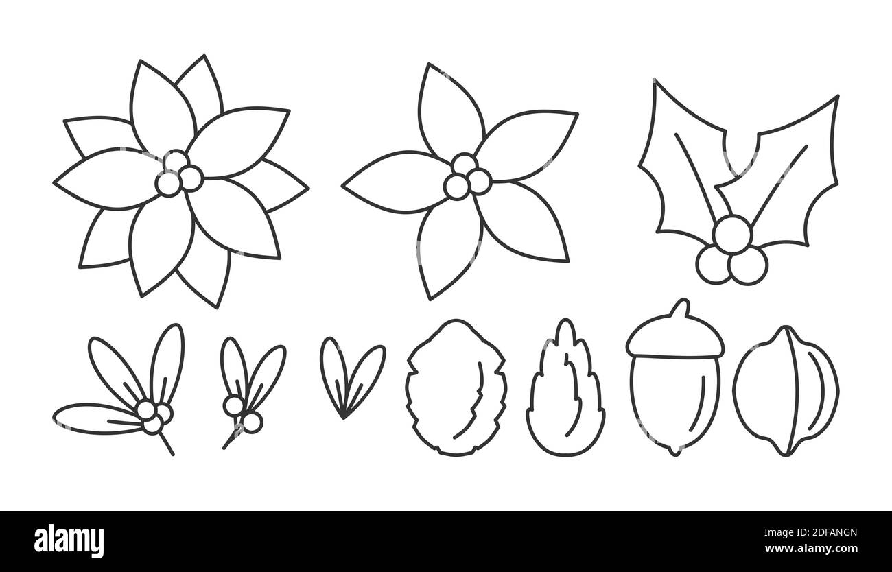 Printable Poinsettia Template