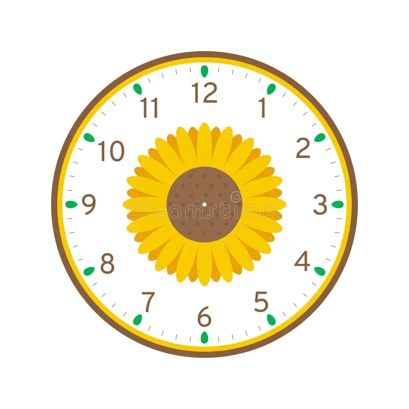 Sunflower Printable Clock Face Template Stock Vector Illustration Of Number Shape 147594973