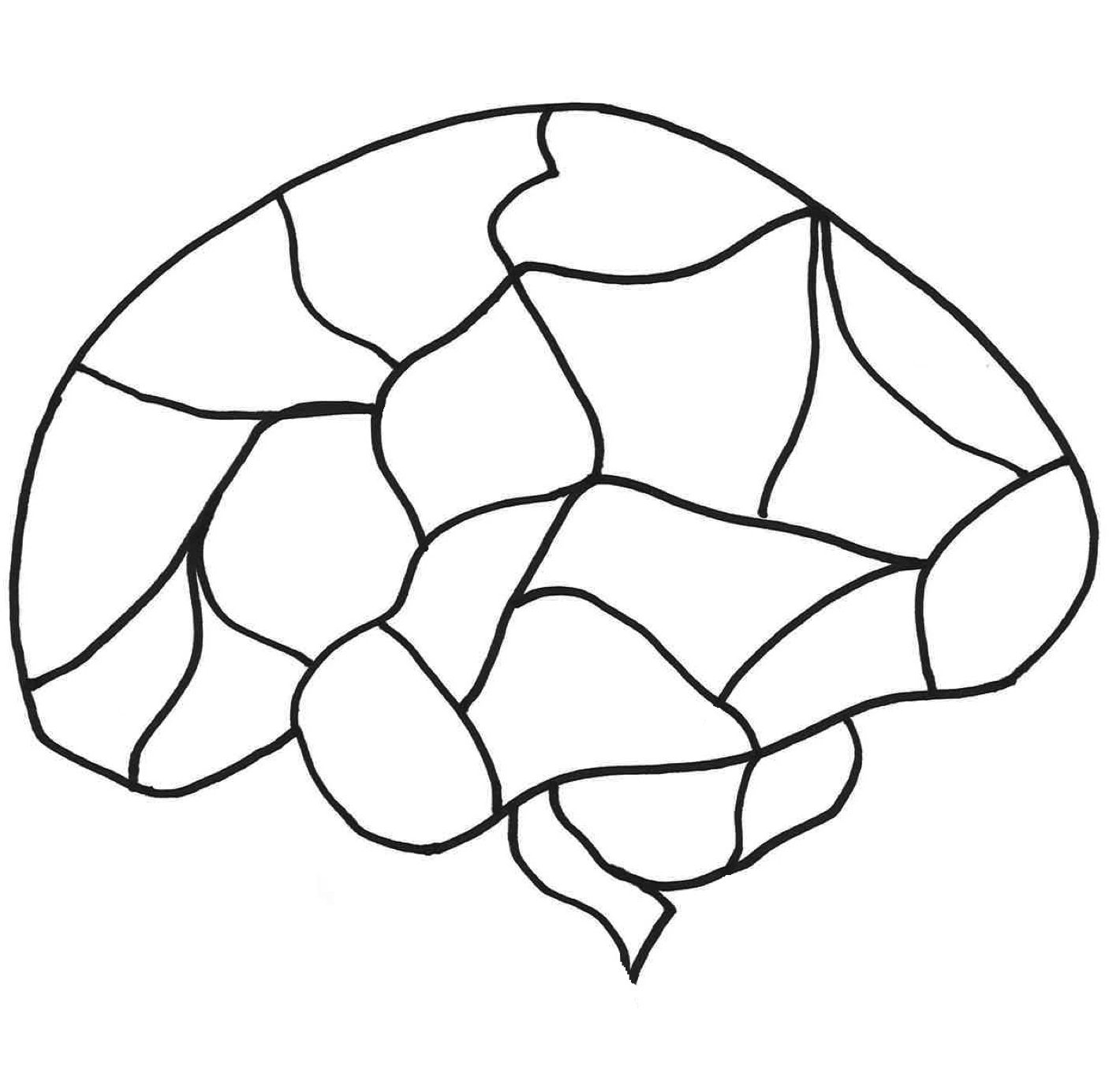 The Brain Template Martin Elphick