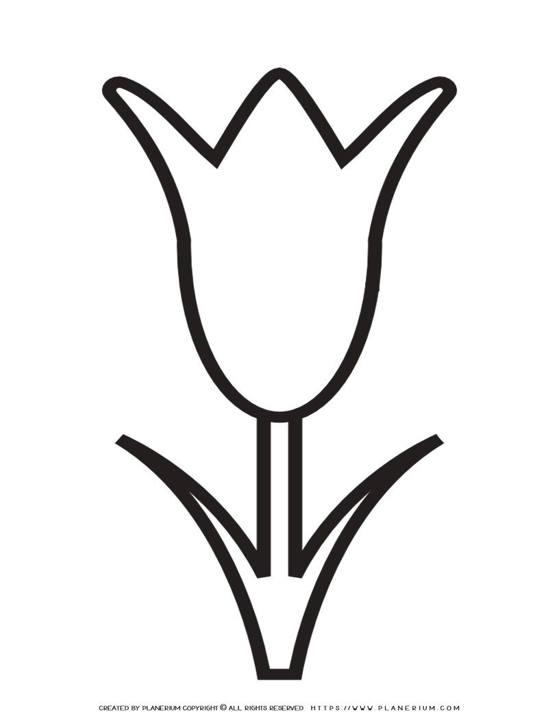 Tulip Template Printable Planerium